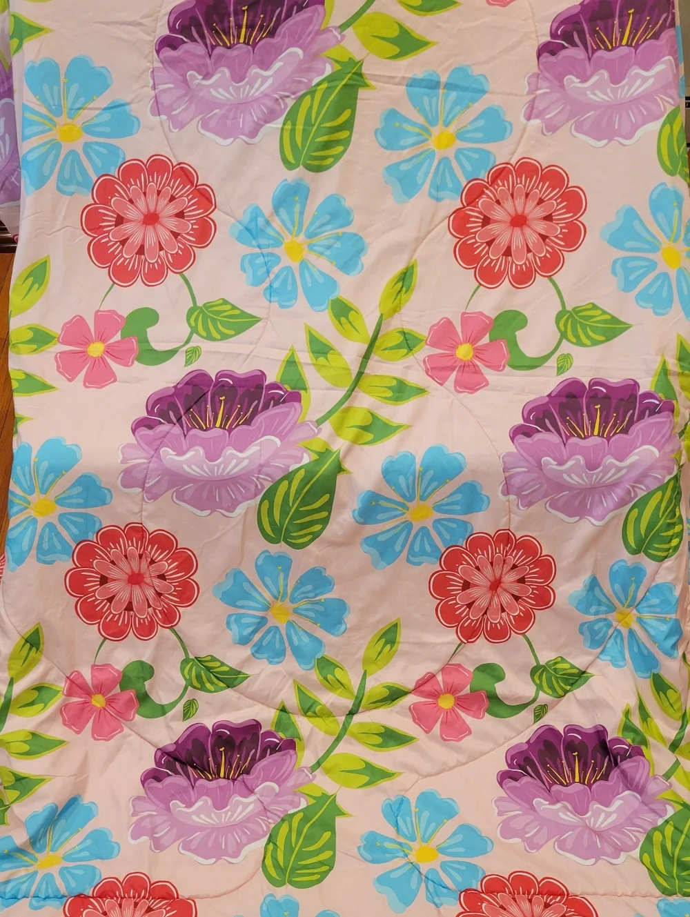 Disney Pink and Blue Frozen Anna & Elsa Comforter Set